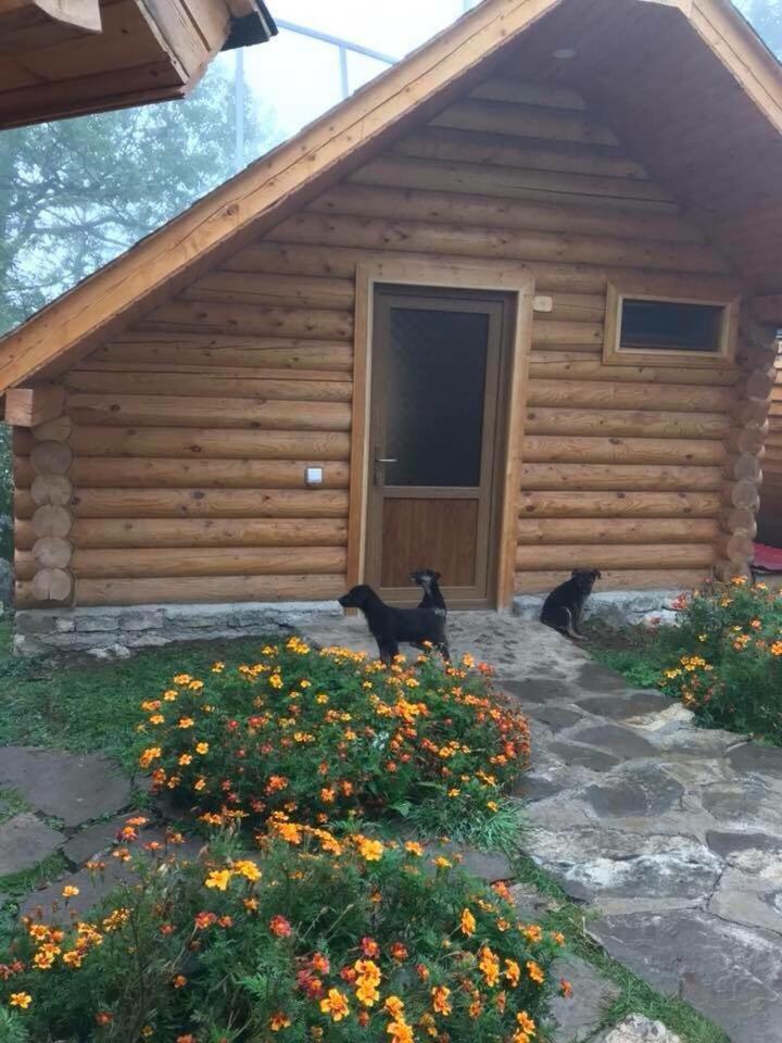 Halidzor Harsnadzor Eco Resort מראה חיצוני תמונה